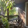 Arts & Crafts Cottage