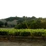 Mt. Vernon Winery