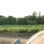 Mt. Vernon Winery