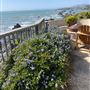 Best View on the Sonoma Coast