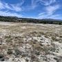 39459 Opalocka Road Suite 1648