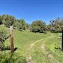 Aukum Ranch