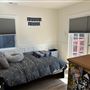 Mid Century Home San Rafael CA