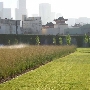 Los Angeles State Historic Park (SHP)