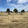 Simpson Park