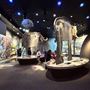 Wester Science Center