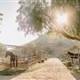 Wolfe Canyon Ranch