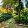 Vintage Hollywood Vibes – Secluded Palm-Lined Mid-Century Pool Oasis Wrapped In Lush Greenery – A Filmmaker’s Dream!