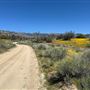 Bufford Ranch, managed by Golden Ranch Estates