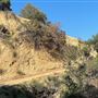 Boy Scout Trail - Griffith Park