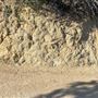Boy Scout Trail - Griffith Park