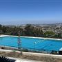 Hey Rookie Pool