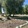 Santa Fe Dam Recreational Area