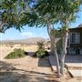 Charming Desert House