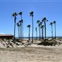 Playa Del Rey Beach @ North end of Dockweiler State Beach