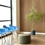 RootVision Endo, Dental/Medical Office