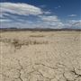 777 Cuddeback Rd