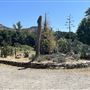 Peter Strauss Ranch - National Park Service (NPS)