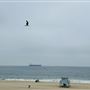 Dockweiler State Beach (SB) / FilmLA - County Beaches & Harbors