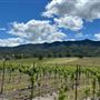 Santa Margarita Ranch