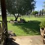 Stockdale Ranch