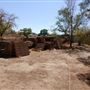 Desert Backyard