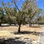 Apollo Community Regional Park