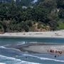 Big River Beach at Mendocino Headlands State Park (SP)