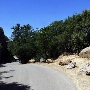Mount Diablo State Park (SP)