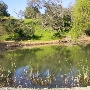 Overshine Wine Company (f.k.a. Armida Winery)