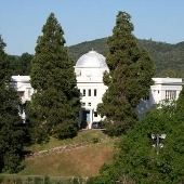 Dome, The