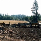 Butte Meadows