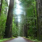 Mattole Road (2)