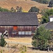 Olompali State Historic Park (SHP)