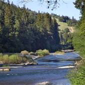 John B. Dewitt Redwoods State National Reserve (SNR)