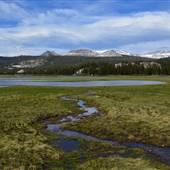 Tuolumne Meadows