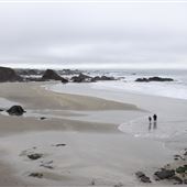 Pudding Creek Beach