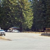 Jackson Demonstration State Forest Camp 20 Recreation Area
