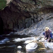 Coyote Creek / Coyote Meadows Trailhead Campground