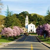 Saint Mary's College of California