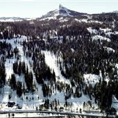 Kingvale Resort