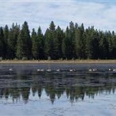 Lake McCumber