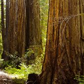 Admiral William Standley State Recreation Area (SRA)