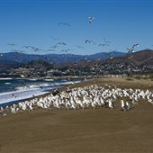 McGrath State Beach (SB)