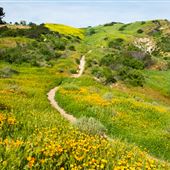 Santiago Oaks Regional Park
