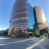 Directors Guild of America