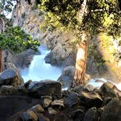 Sequoia and Kings Canyon National Parks & Crystal Cave