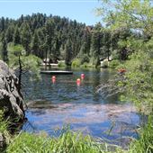 Camp Cedar Lake