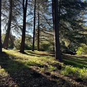 Greer Ranch