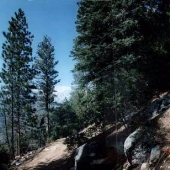Humber Park